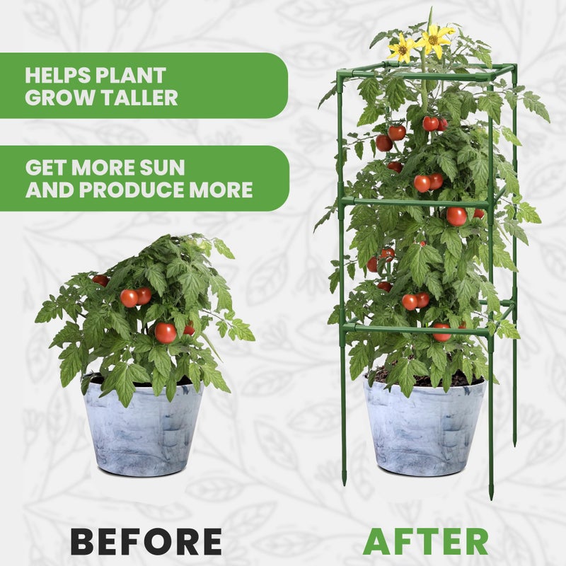 K-Brands Tomato Cage Square - Large Trellis Stakes and Plant Support Structures for Vegetables and Climbing Plants - Tall Tomato Cages for Garden  Pots  Raised Garden Bed Outdoor Supplies (3 Pack - Up to 41"") - Image 5